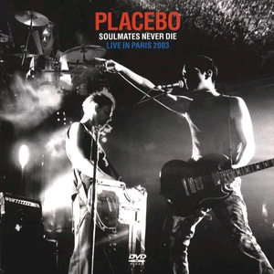 桥本香菜在线观看视频
